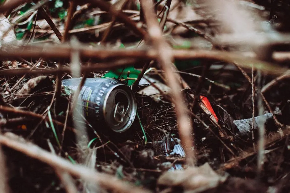 Decomposition Cleanup in Lewisville, Texas