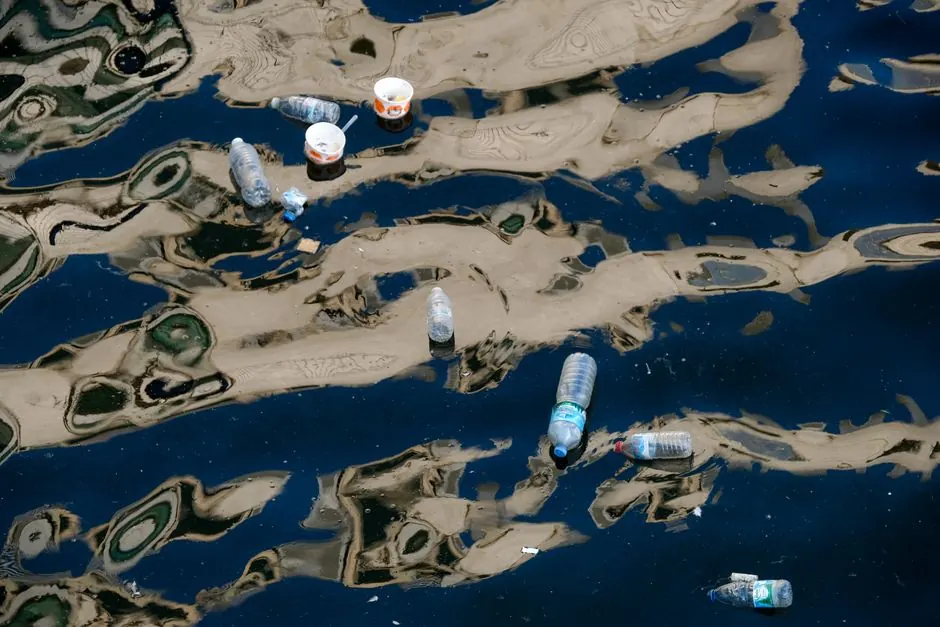 Understanding environmental hazard cleanup in Lewisville